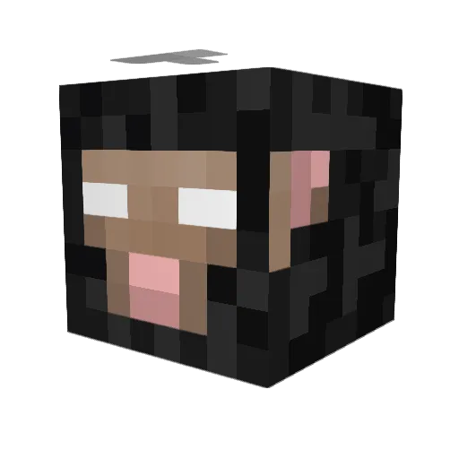 blaze_er Minecraft avatar head, 3D render