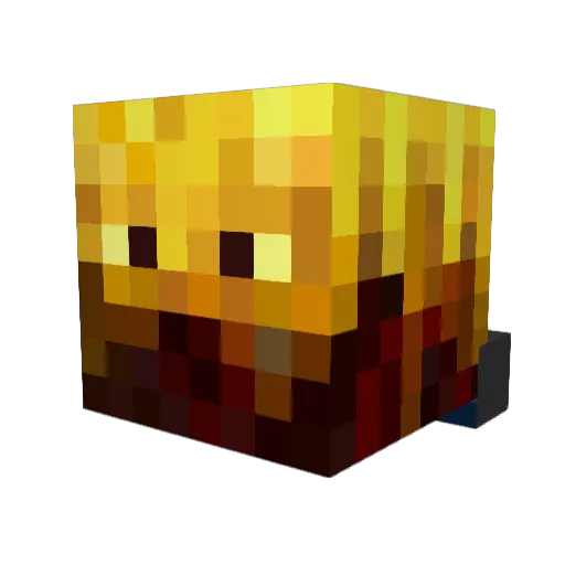 blazekiller560 Minecraft avatar head, 3D render
