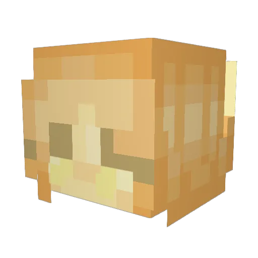 blazepaladin Minecraft avatar head, 3D render