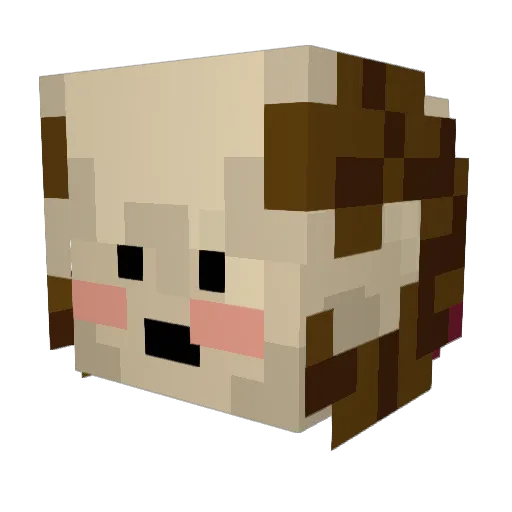 blazesuwu Minecraft avatar head, 3D render