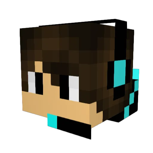 blazingarrows64 Minecraft avatar head, 3D render