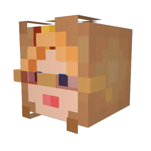 blbr117 Minecraft avatar head, 3D render