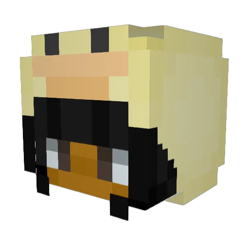 blckcalamity Minecraft avatar head, 3D render