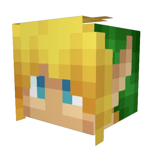 blckwngd Minecraft avatar head, 3D render