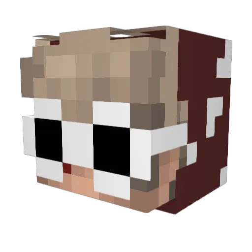 blctant Minecraft avatar head, 3D render