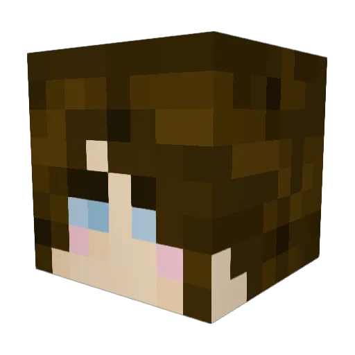 bleachdchikn Minecraft avatar head, 3D render