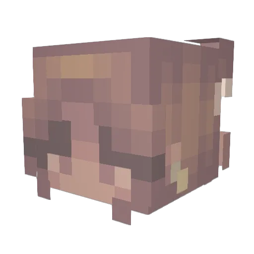 bleachly_ Minecraft avatar head, 3D render