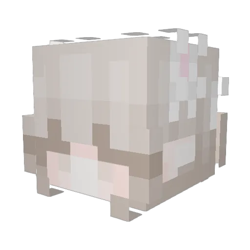 blebbee__x Minecraft avatar head, 3D render