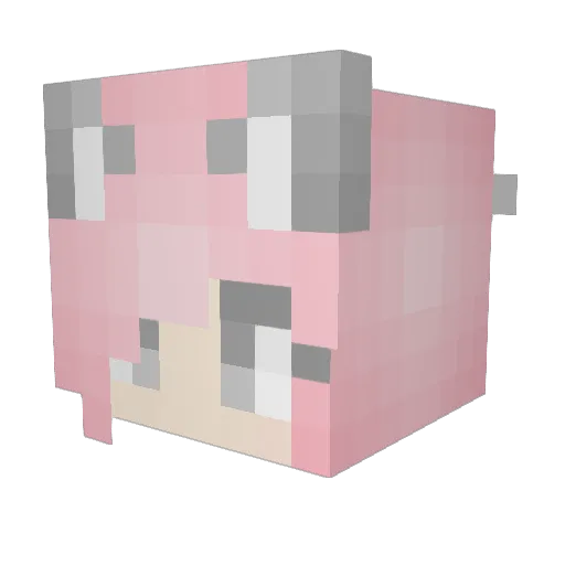 bleedkuo Minecraft avatar head, 3D render
