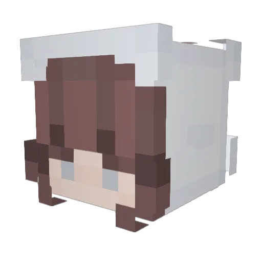bleh_04 Minecraft avatar head, 3D render