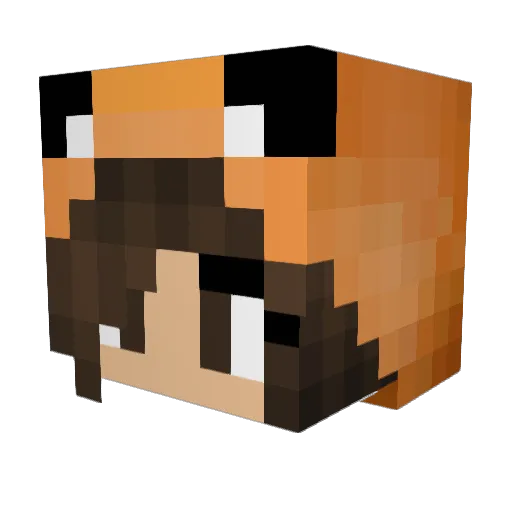 blehcat Minecraft avatar head, 3D render