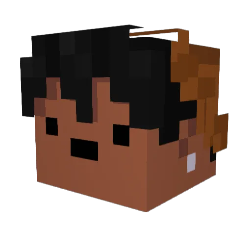 bleidola Minecraft avatar head, 3D render