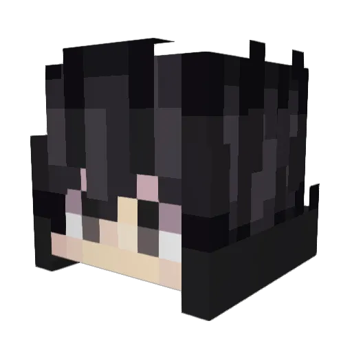 blejzikk_ Minecraft avatar head, 3D render