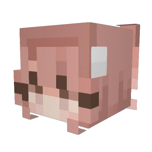 blenderz Minecraft avatar head, 3D render