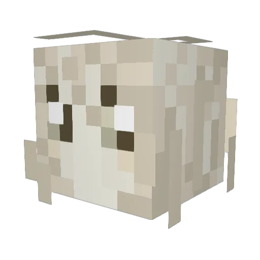 bleotter Minecraft avatar head, 3D render