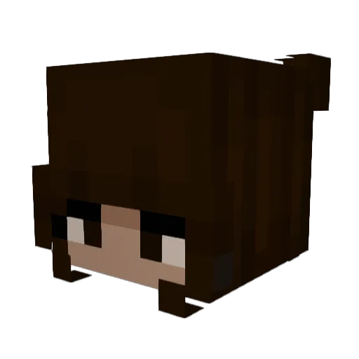bleppys Minecraft avatar head, 3D render