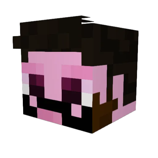blerkiqi Minecraft avatar head, 3D render