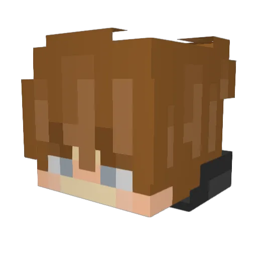 blerq Minecraft avatar head, 3D render