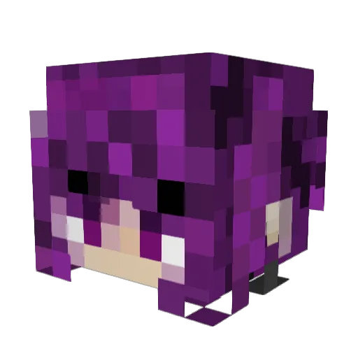 blessedprotector Minecraft avatar head, 3D render