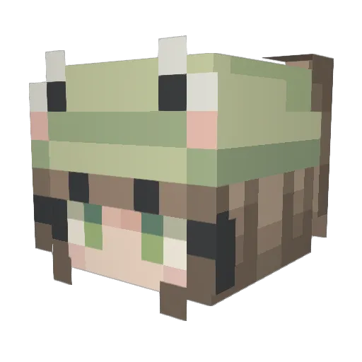 blessel Minecraft avatar head, 3D render