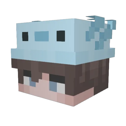 bleuclair Minecraft avatar head, 3D render