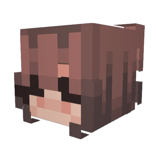 blhsarah Minecraft avatar head, 3D render