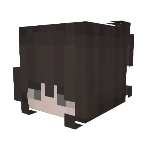 bliinixxx Minecraft avatar head, 3D render