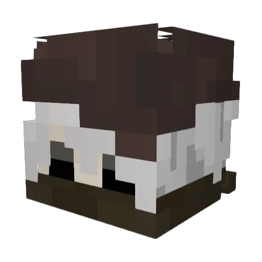 blimpyx Minecraft avatar head, 3D render