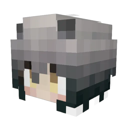 blindCupid47 Minecraft avatar head, 3D render