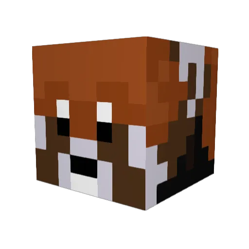 blind_ryry Minecraft avatar head, 3D render