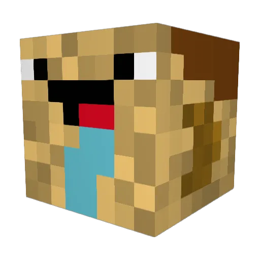 blindman1106 Minecraft avatar head, 3D render