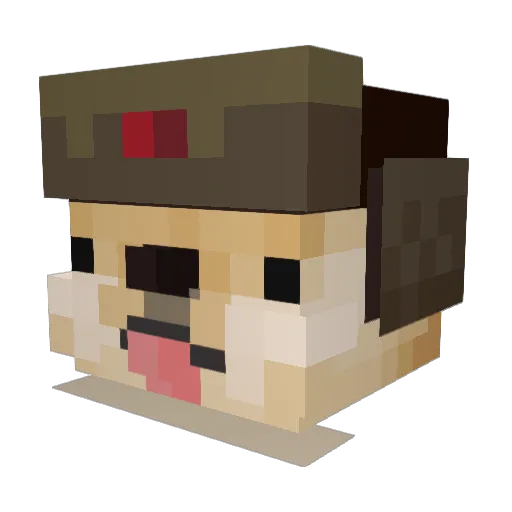 blindpenguin569 Minecraft avatar head, 3D render