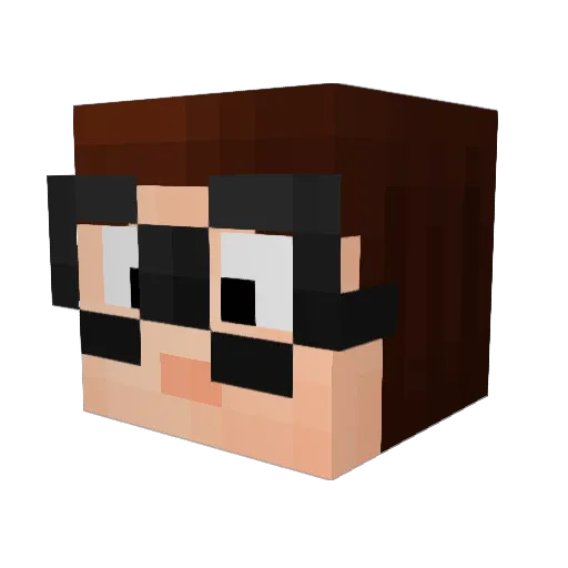 blindturtlerage Minecraft avatar head, 3D render