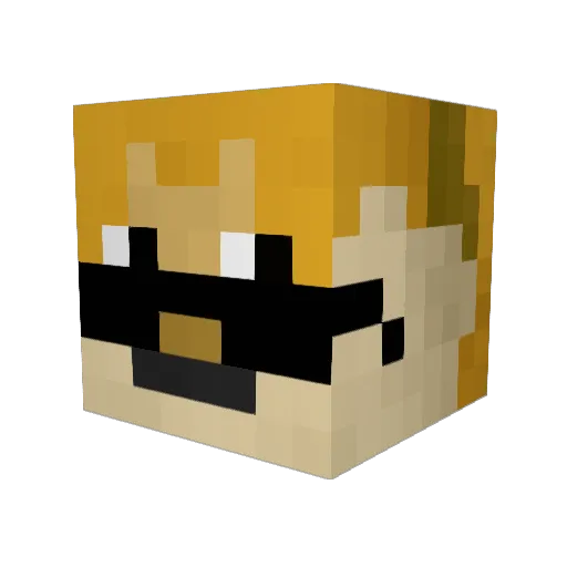 blingbloa Minecraft avatar head, 3D render