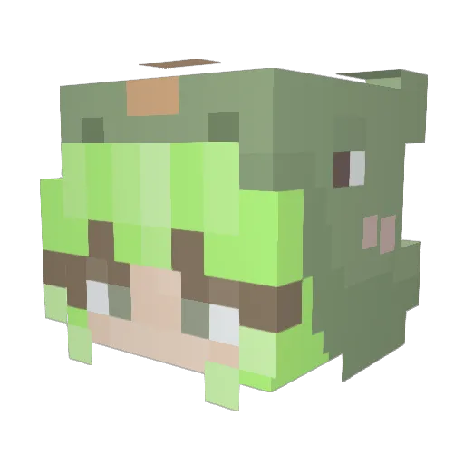blinglingling Minecraft avatar head, 3D render