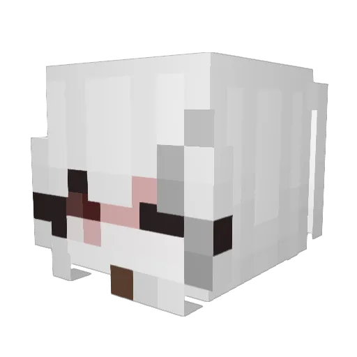 blinkercity182 Minecraft avatar head, 3D render