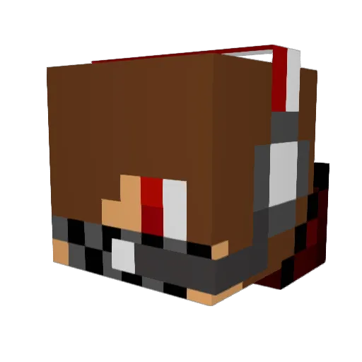 blinko5 Minecraft avatar head, 3D render