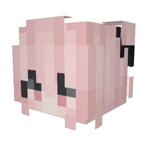 bliss_chan Minecraft avatar head, 3D render