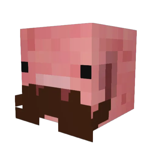 blits40 Minecraft avatar head, 3D render