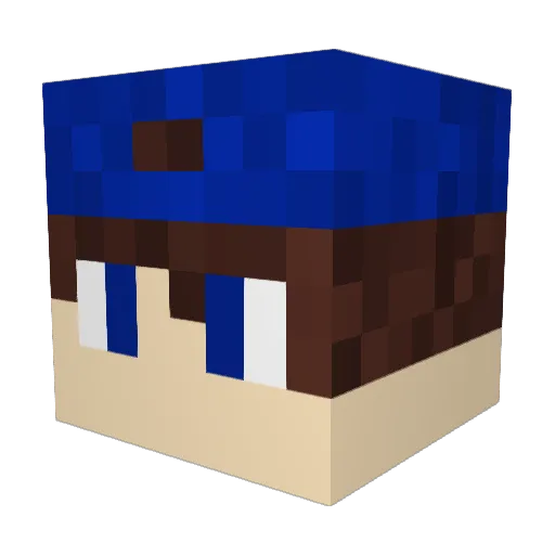 blitz2906 Minecraft avatar head, 3D render