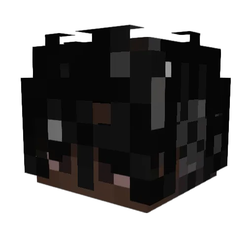 blitzNblast Minecraft avatar head, 3D render