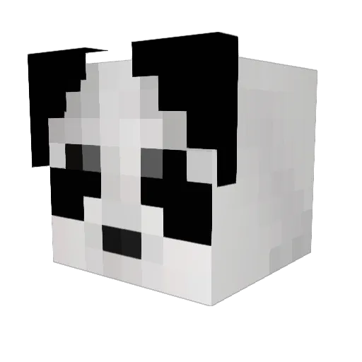 blitzninja9 Minecraft avatar head, 3D render