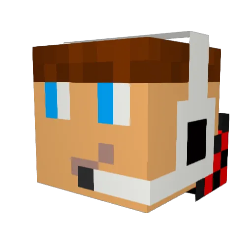 blitzpfeil Minecraft avatar head, 3D render