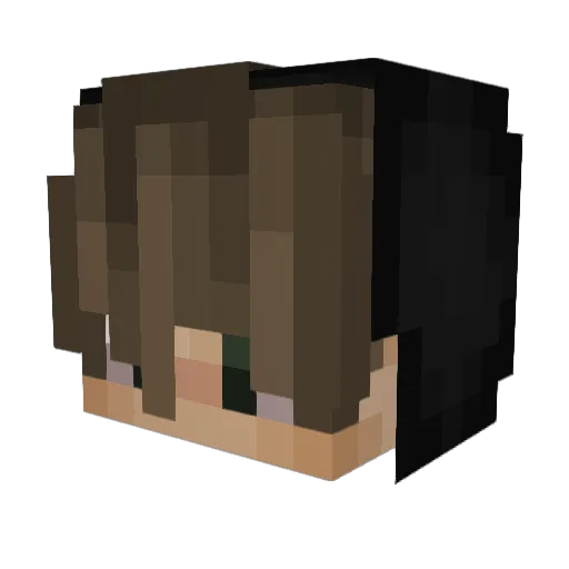 blitzsu Minecraft avatar head, 3D render