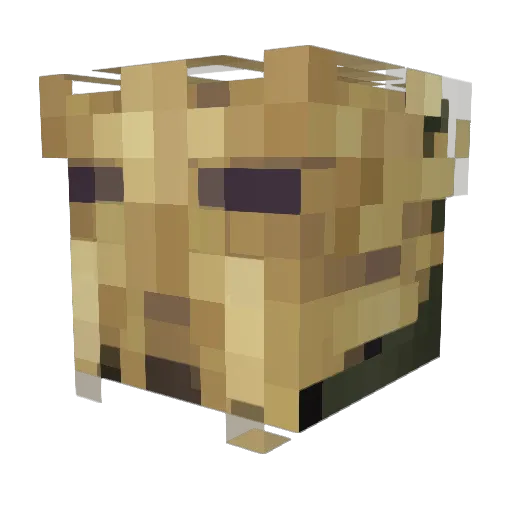 blitzwinger Minecraft avatar head, 3D render