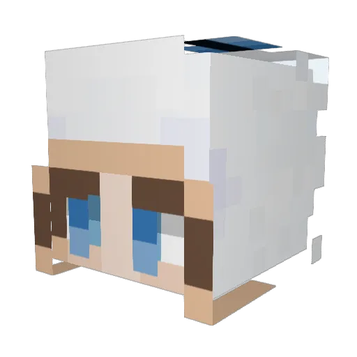 blizzlis Minecraft avatar head, 3D render