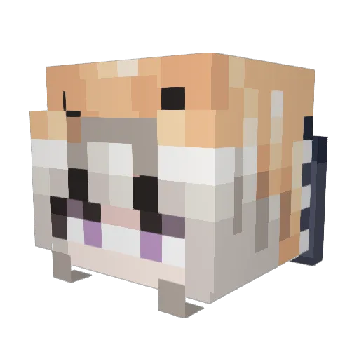blizzrrd Minecraft avatar head, 3D render