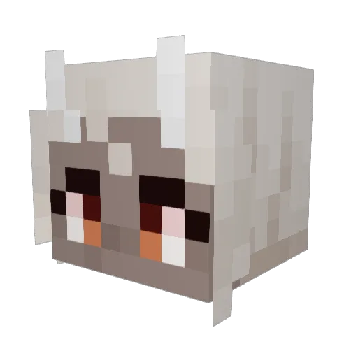 blkrain0612 Minecraft avatar head, 3D render