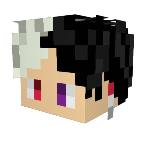 blkx_ Minecraft avatar head, 3D render