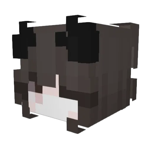 bloatationdevice Minecraft avatar head, 3D render